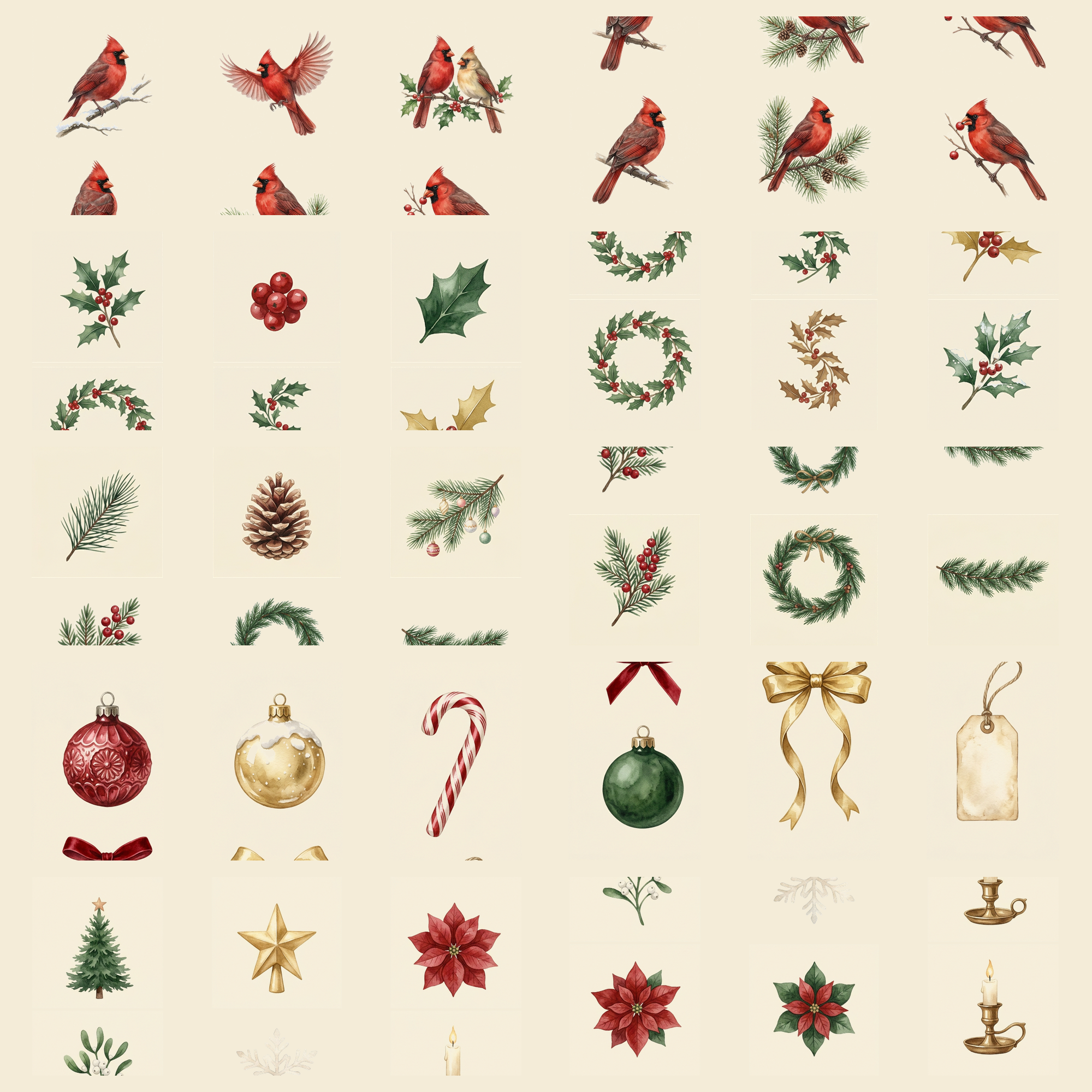 Watercolor Vintage Christmas Cardinals and Holly Clipart, 30 PNG, Transparent Background, Commercial Use, Digital Download