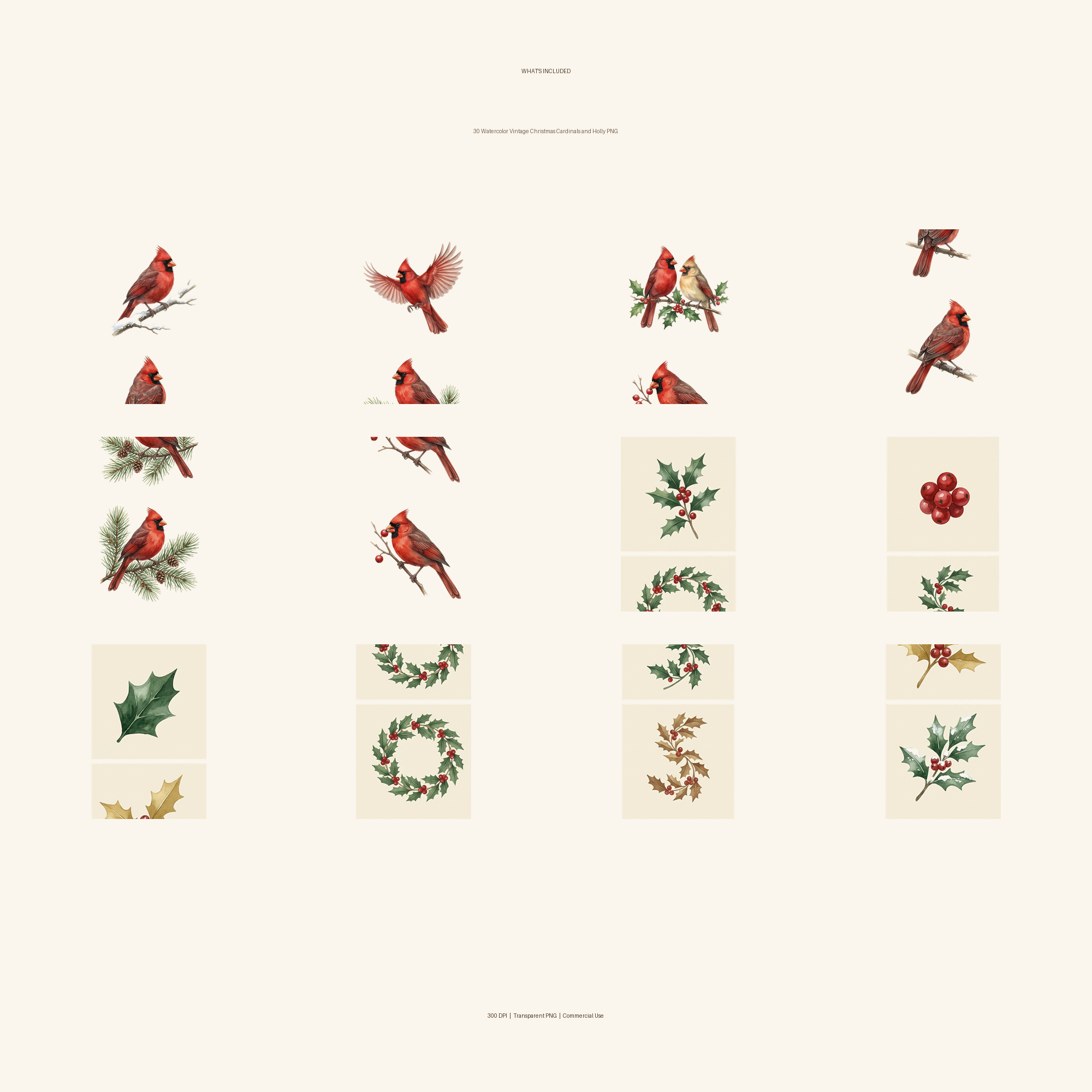 Watercolor Vintage Christmas Cardinals and Holly Clipart, 30 PNG, Transparent Background, Commercial Use, Digital Download