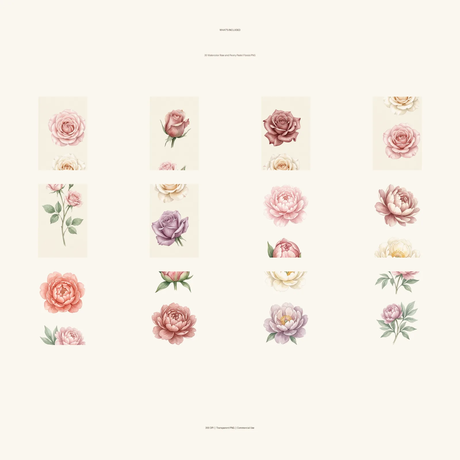 Watercolor Rose and Peony Pastel Florals Clipart, 30 PNG, Transparent Background, Commercial Use, Digital Download
