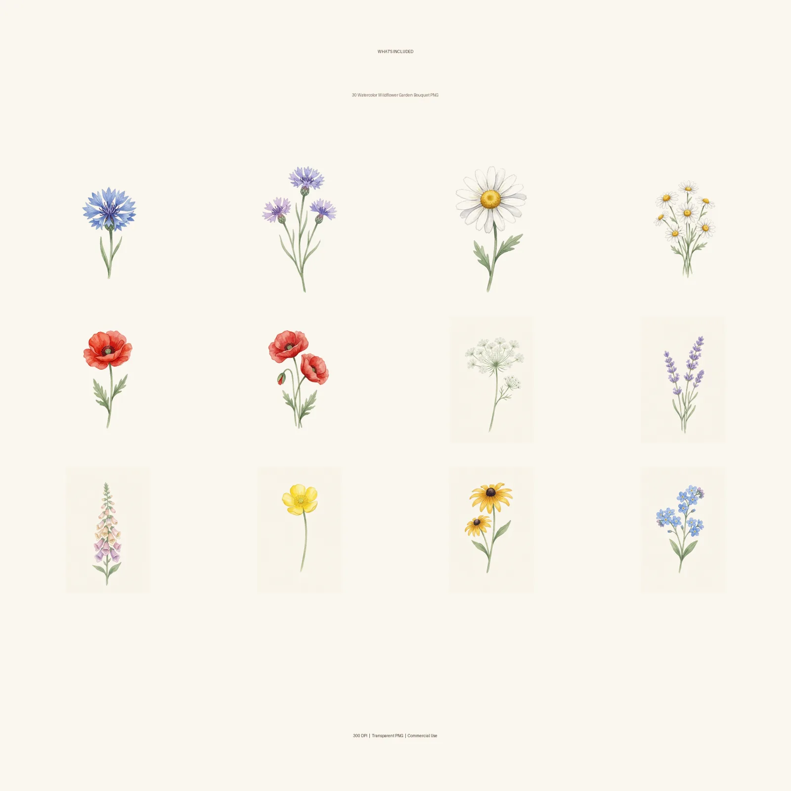 Watercolor Wildflower Garden Bouquet Clipart, 30 PNG, Transparent Background, Commercial Use, Digital Download