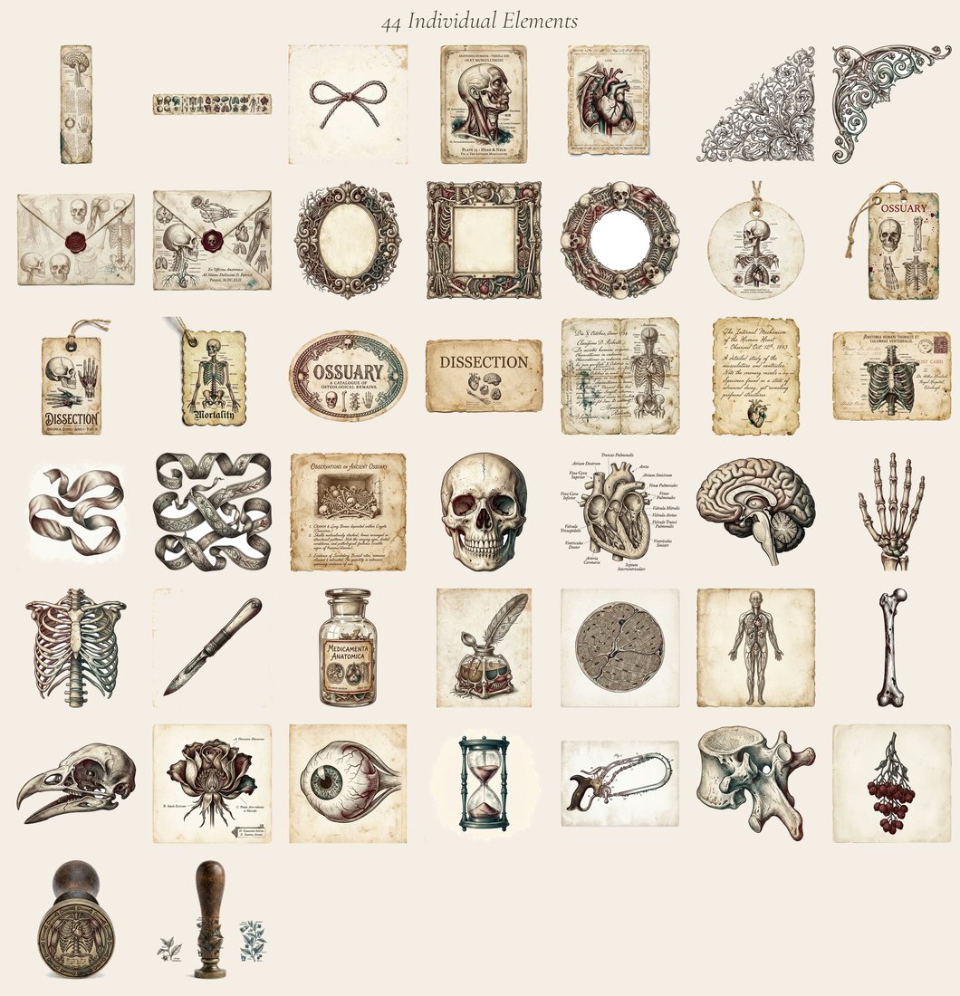 Macabre Anatomy Junk Journal Kit | Gothic Medical Ephemera | Digital Download