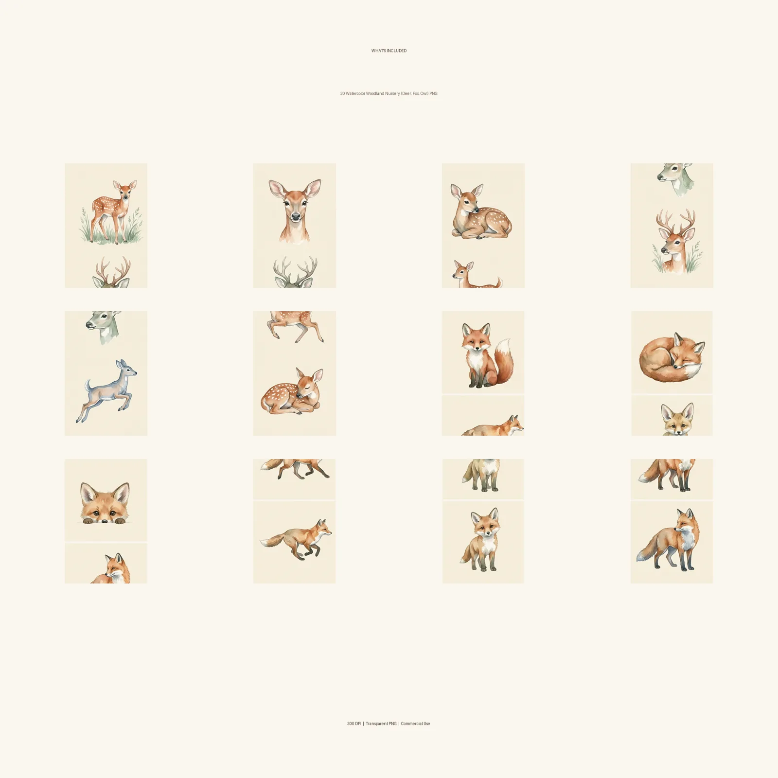 Watercolor Woodland Nursery (Deer, Fox, Owl) Clipart, 30 PNG, Transparent Background, Commercial Use, Digital Download