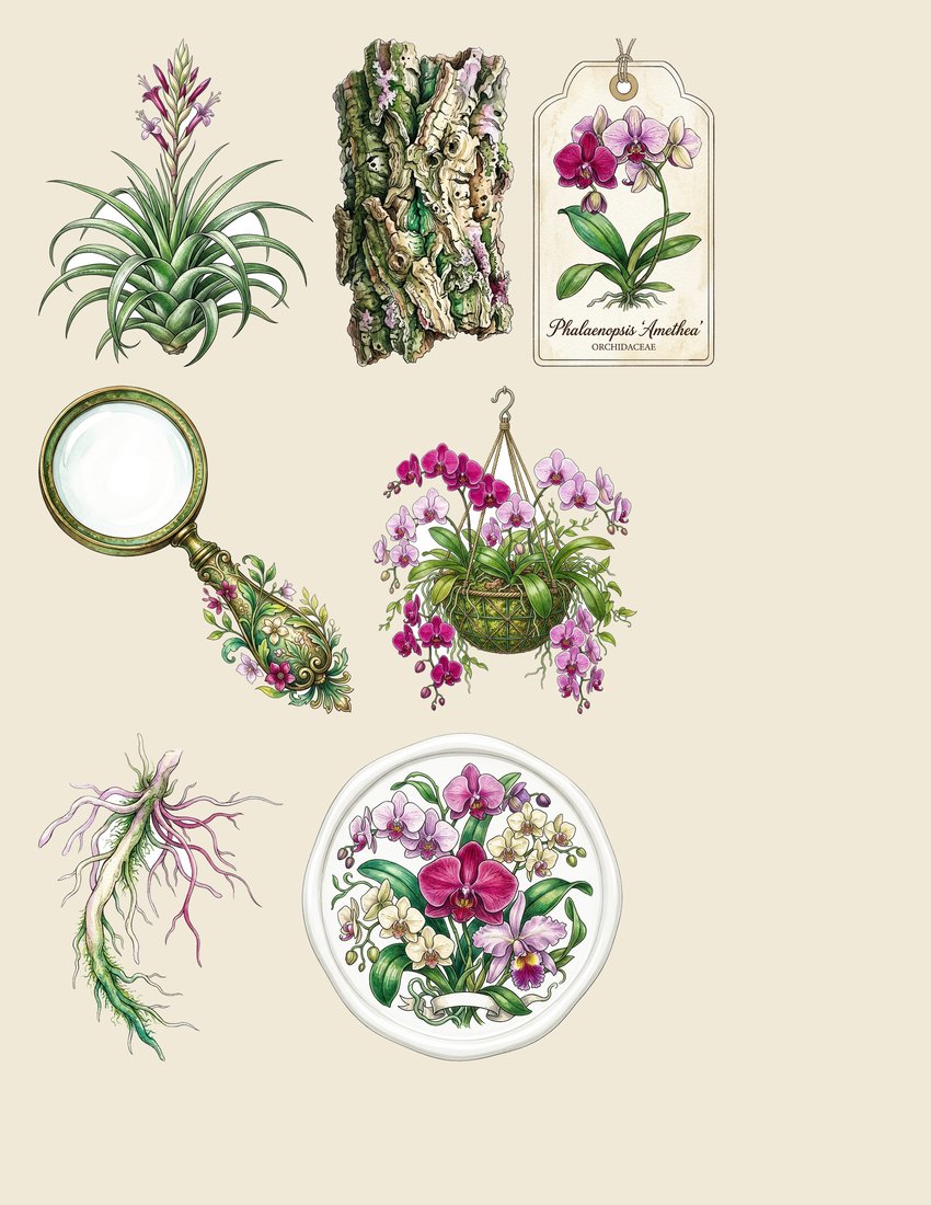 Orchid Hothouse Junk Journal Kit | Exotic Bloom Ephemera & Botanical Prints | Digital Download