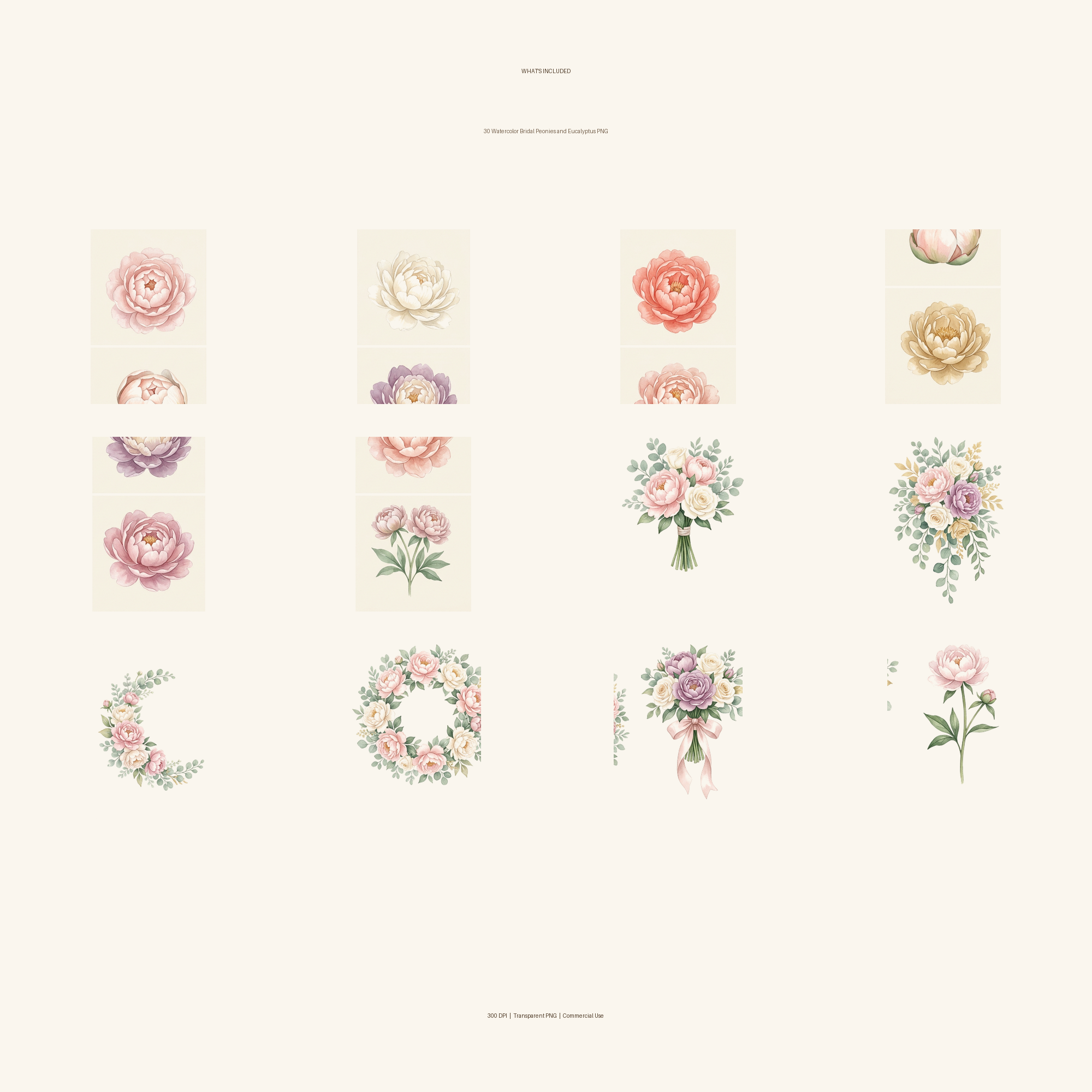 Watercolor Bridal Peonies and Eucalyptus Clipart, 30 PNG, Transparent Background, Commercial Use, Digital Download